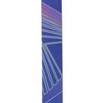 D'Addario Outrun Polyester Guitar Strap, Prism Product Image