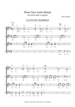Vagn Nørgaard: Three New Latin Motets