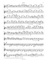 Raff, Joachim: String Quartet No. 7 Op. 192/2 – „Die schöne Müllerin – Cyklische Tondichtung“ Product Image