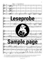 Raff, Joachim: String Quartets Nos. 6–8 Op. 192 Product Image