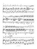 Raff, Joachim: Violoncello Concerto No. 1 in D minor Op. 193 Product Image