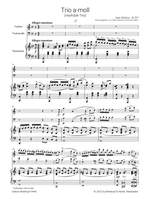Sibelius, Jean: Trio in A minor “Havträsk-Trio” JS 207 Product Image