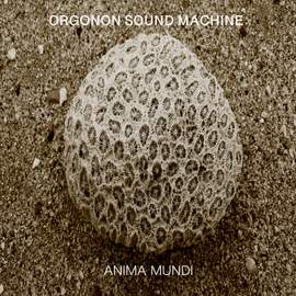 Anima Mundi
