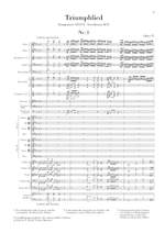 Brahms: Triumphlied op. 55 Product Image