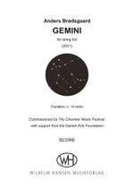 Anders Brødsgaard: Gemini Product Image