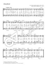 Volkmann, Robert: Abendlied in E flat major Product Image
