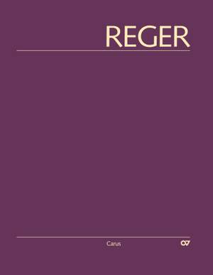 Reger Hybrid Edition of Works, Vol. II/2: Songs II (1889–1899)