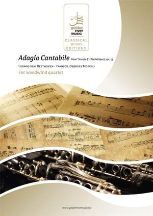 Ludwig van Beethoven: Adagio from Sonate Pathetique