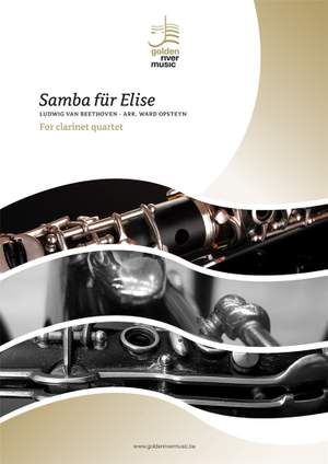 Ludwig van Beethoven: Samba fur Elise
