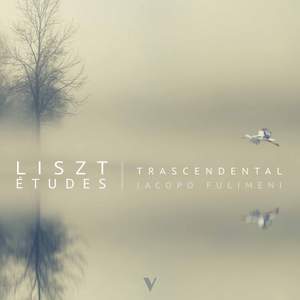 Liszt: Transcendental Études