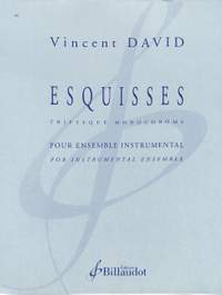 Vincent David: Esquisses