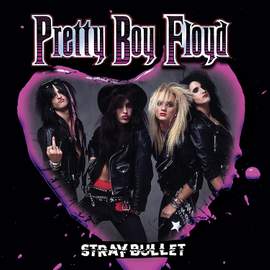 Stray Bullet