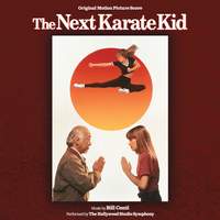 The Next Karate Kid (Original Motion Picture Soundtrack)