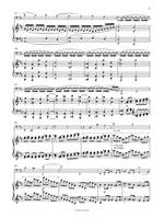 Raff, Joachim: Cello Sonata Op. 183 Product Image