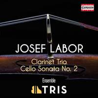 Josef Labor: Clarinet Trio; Cello Sonata No. 2