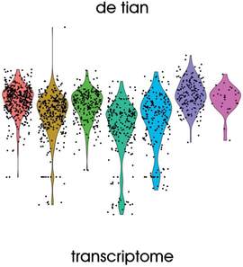 Transcriptome