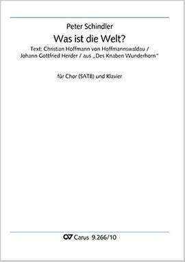 Schindler, Peter: Was ist die Welt?
