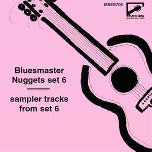 Bluesmaster Nuggets Set 6