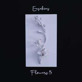 Flowers 5