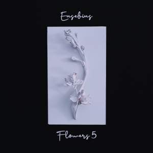 Flowers 5