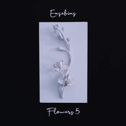 Flowers 5