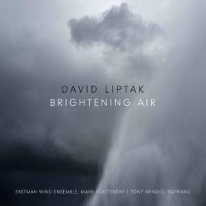 David Liptak: Brightening Air
