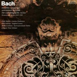 Bach: Zerreißet
