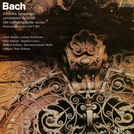 Bach: Zerreißet