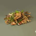 Forest Floor Product Image
