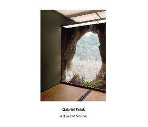Gabriel Paiuk - Adjacent Sound