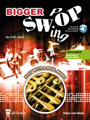 Fons van Gorp: Bigger Swop
