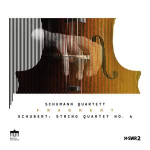 Schubert: String Quartet No. 6 (Fragment Pt. II)