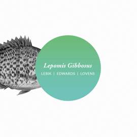 Lepomis Gibbosus