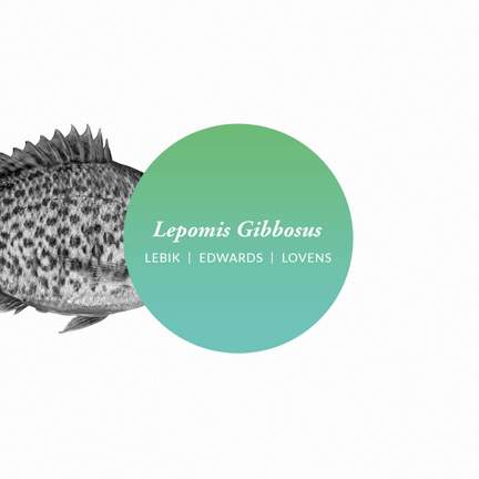 Lepomis Gibbosus
