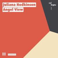 Juliana Hodkinson: Angel View