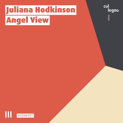 Juliana Hodkinson: Angel View