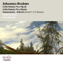Johannes Brahms: The Two Sonatas for Cello and Piano