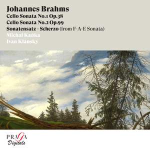 Johannes Brahms: The Two Sonatas for Cello and Piano