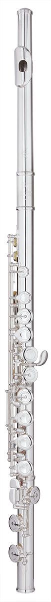 Trevor James Virtuoso Flute Outfit - Voce Head. Split E