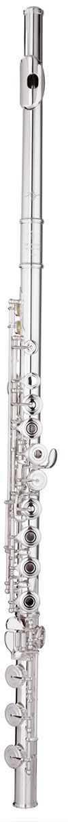 Trevor James Virtuoso Flute Outfit - Voce Head. Split E, Open Hole