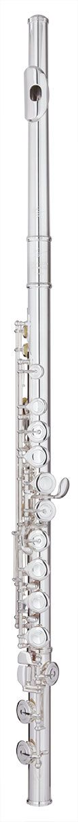 Trevor James Chanson Flute Outfit - Voce Head. Split E