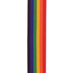 D'Addario Auto Lock Polypro Guitar Strap, Rainbow Product Image