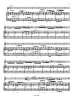 Robert Woodcock: Concerto for Descant (Soprano) Recorder Product Image