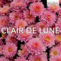 Clair de Lune