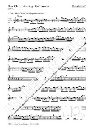 Bach, JS: The recorder parts of his vocal works