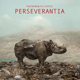 Perseverantia