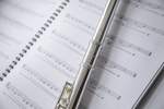 Trevor James 10XE-P Flute Outfit - CS 925 Silver Lip Plate and Riser Product Image