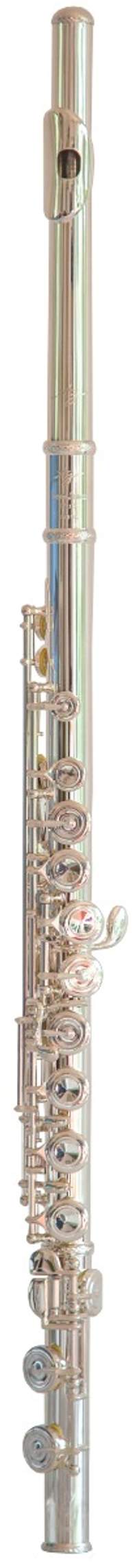 Trevor James 10XP Flute Outfit - CS 925 Silver Lip Plate and Riser