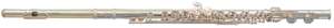 Trevor James 10XE-P Flute Outfit - CS 925 Silver Lip Plate and Riser