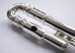 Trevor James 10XE-P Flute Outfit - Curved & Straight Heads. CS 925 Silver Lip Plate and Riser Product Image